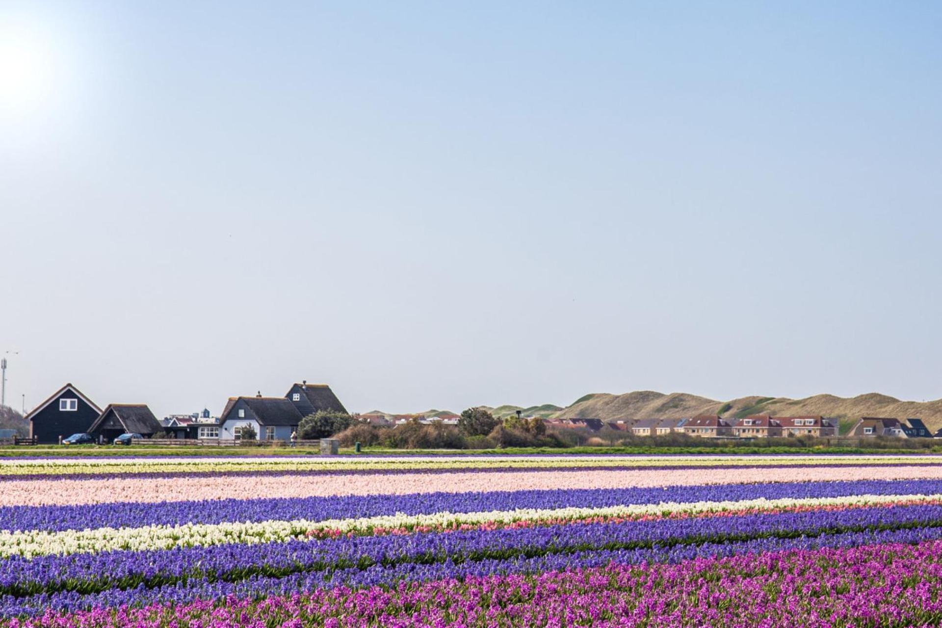 Beach Appartement 14 - Aan De Duinen, Callantsoog Aan Zee מראה חיצוני תמונה