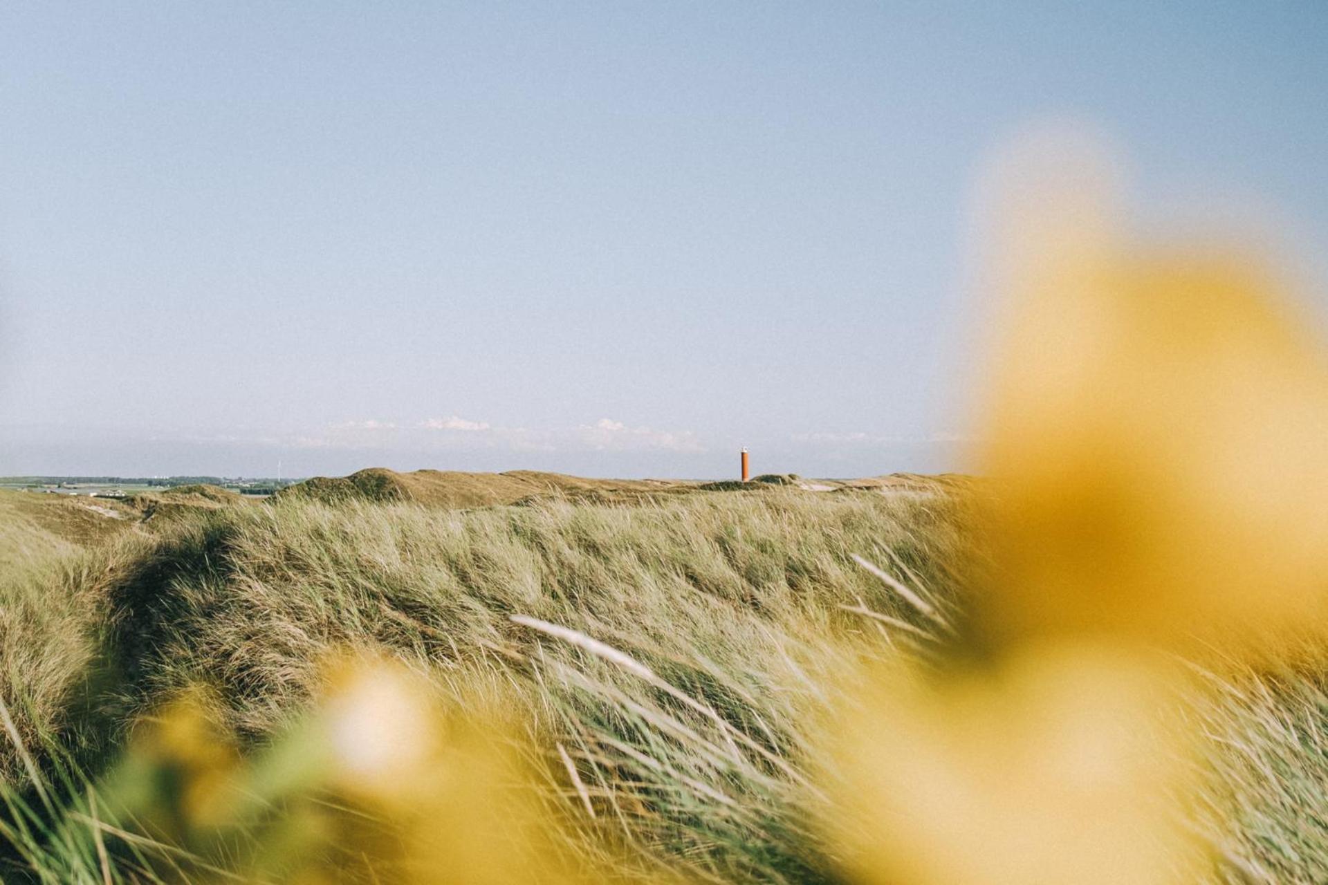 Beach Appartement 14 - Aan De Duinen, Callantsoog Aan Zee מראה חיצוני תמונה